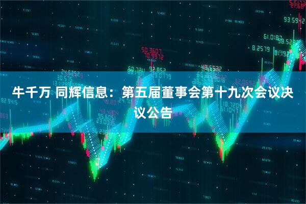 牛千万 同辉信息：第五届董事会第十九次会议决议公告