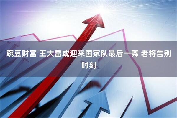 豌豆财富 王大雷或迎来国家队最后一舞 老将告别时刻