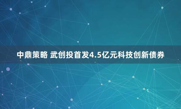 中鼎策略 武创投首发4.5亿元科技创新债券