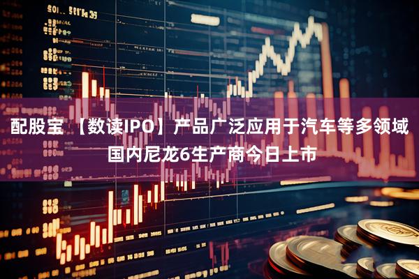 配股宝 【数读IPO】产品广泛应用于汽车等多领域 国内尼龙6生产商今日上市