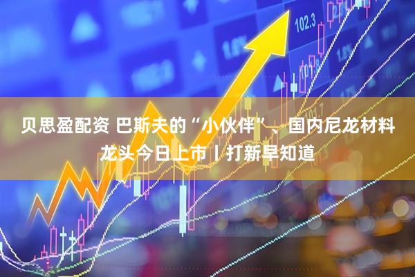 贝思盈配资 巴斯夫的“小伙伴”、国内尼龙材料龙头今日上市丨打新早知道