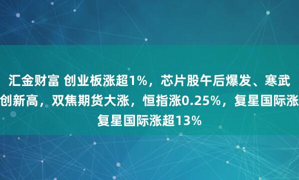 汇金财富 创业板涨超1%，芯片股午后爆发、寒武纪涨停创新高，双焦期货大涨，恒指涨0.25%，复星国际涨超13%