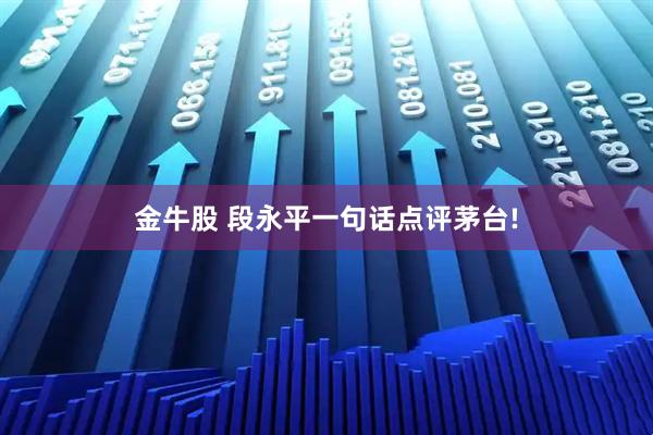 金牛股 段永平一句话点评茅台!