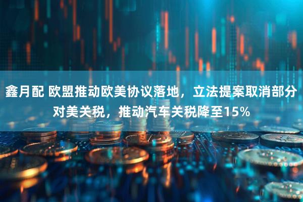 鑫月配 欧盟推动欧美协议落地，立法提案取消部分对美关税，推动汽车关税降至15%