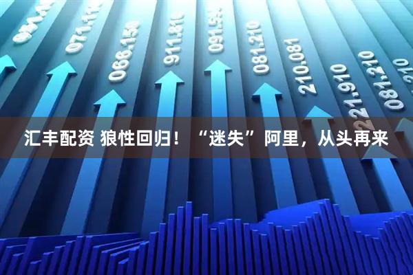 汇丰配资 狼性回归！ “迷失” 阿里，从头再来