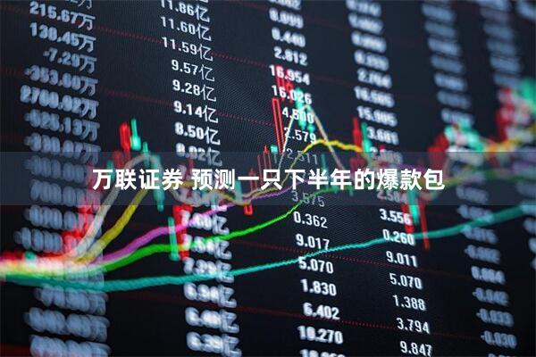 万联证券 预测一只下半年的爆款包