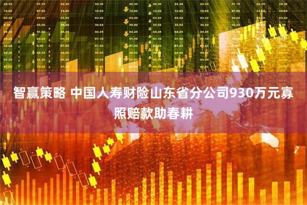 智赢策略 中国人寿财险山东省分公司930万元寡照赔款助春耕