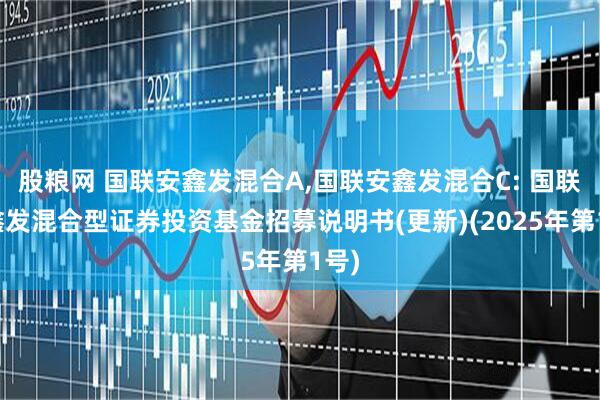 股粮网 国联安鑫发混合A,国联安鑫发混合C: 国联安鑫发混合型证券投资基金招募说明书(更新)(2025年第1号)