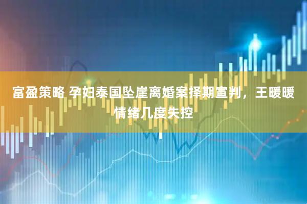 富盈策略 孕妇泰国坠崖离婚案择期宣判，王暖暖情绪几度失控