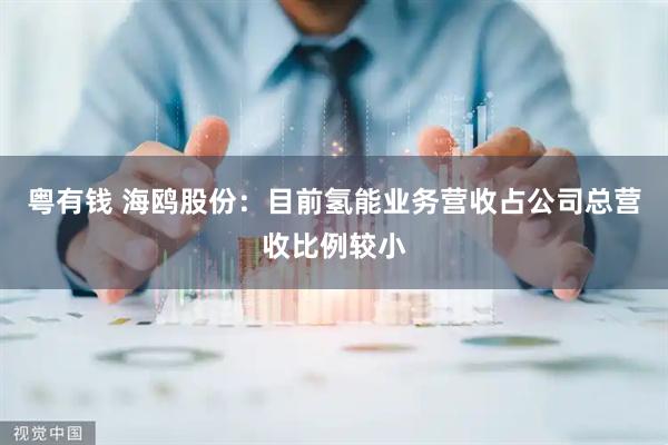 粤有钱 海鸥股份：目前氢能业务营收占公司总营收比例较小