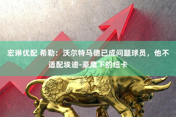 宏琳优配 希勒：沃尔特马德已成问题球员，他不适配埃迪-豪麾下的纽卡