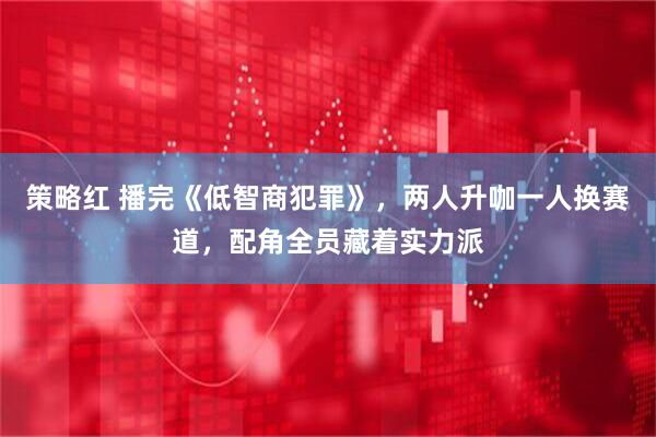 策略红 播完《低智商犯罪》，两人升咖一人换赛道，配角全员藏着实力派